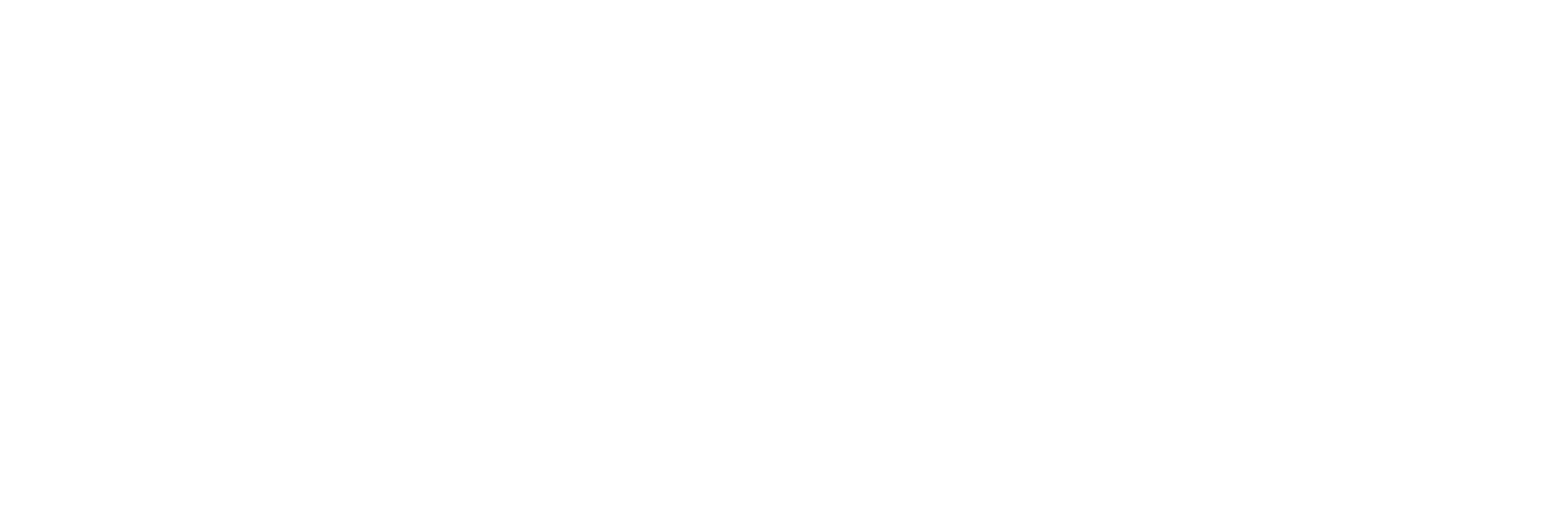 GlasfaserPlus_Weiss_Logo